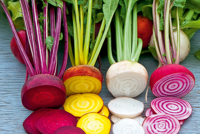 Củ cải nhiều màu sắc thực phẩm biến đổi gen trầm trọng