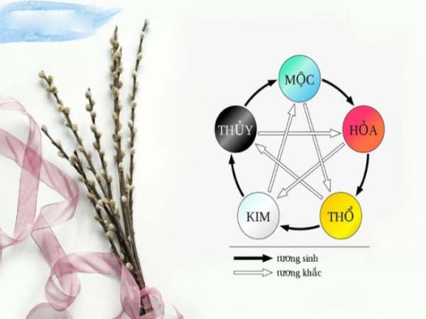 Sự kết hợp của người mệnh Thuỷ và Mộc sẽ như thế nào?
