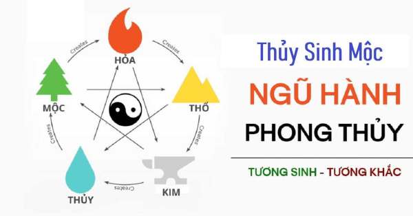thủy sinh mộc là gì