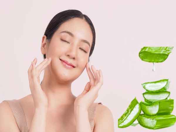 Cách đắp mặt nạ nha đam đúng cách sẽ mang laik hiệu quả tốt