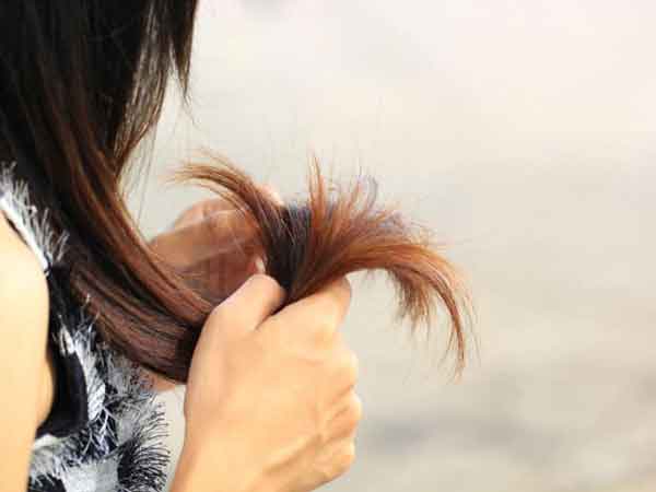 Tóc chẻ ngọn không nên gội đầu quá nhiều lần