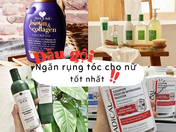Một số loại dầu gội ngăn rụng tóc hiệu quả