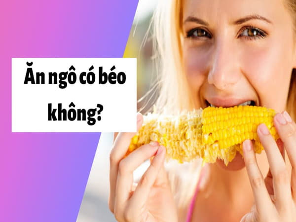 Giải đáp ăn ngô có béo không từ góc nhìn khoa học