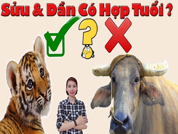 Tuổi dần có hợp với tuổi sửu không trong tình yêu và công việc