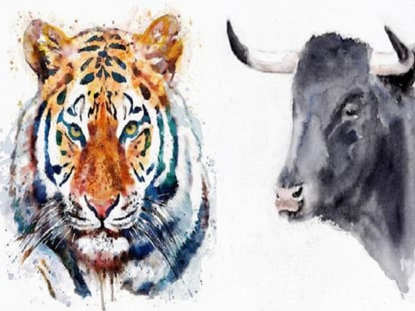 Tổng quan về người tuổi Dần và tuổi Sửu